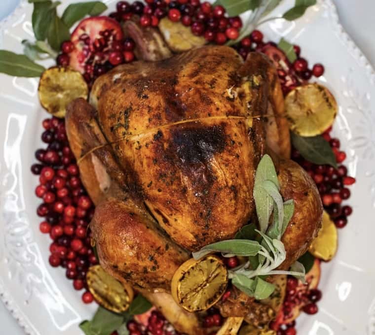 Jana cuisine holiday